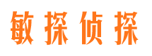 平川侦探